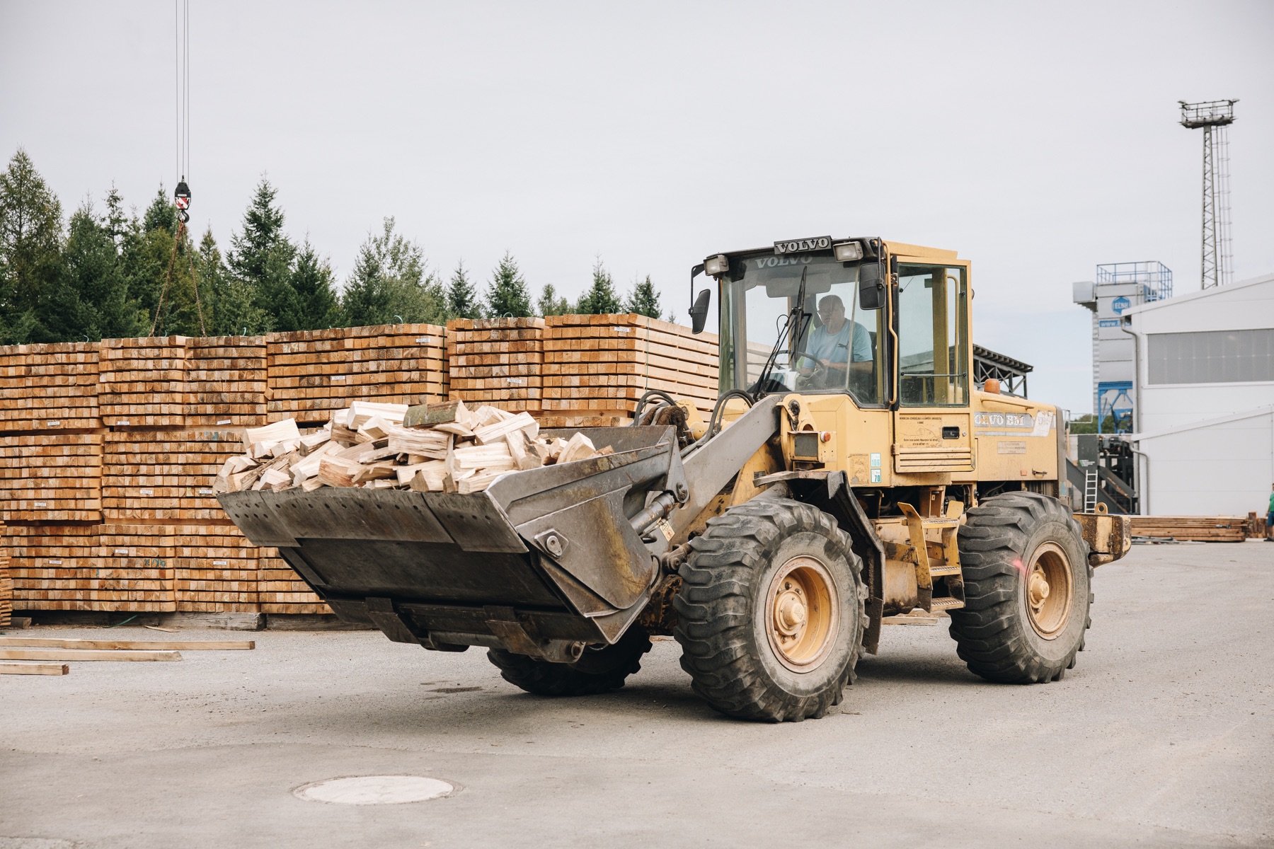 Nakladač převážející dřevní materiál v areálu pily